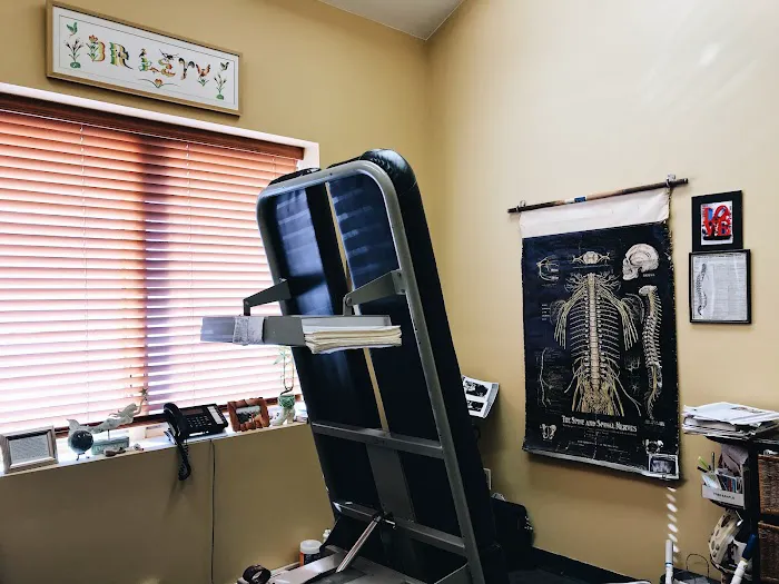 Levy Chiropractic Family Wellness Center LLC Picture 1