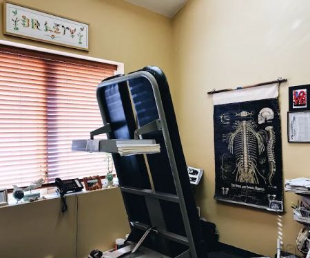 Levy Chiropractic Family Wellness Center LLC