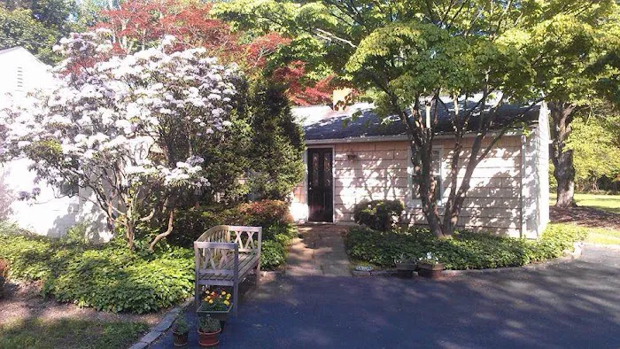 Dr. Debra DeMarco D.C. Picture 2