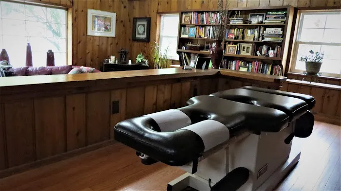 Dr. Debra DeMarco D.C. Picture 1