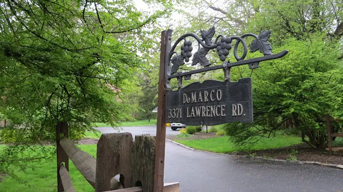 Dr. Debra DeMarco D.C. Picture 4