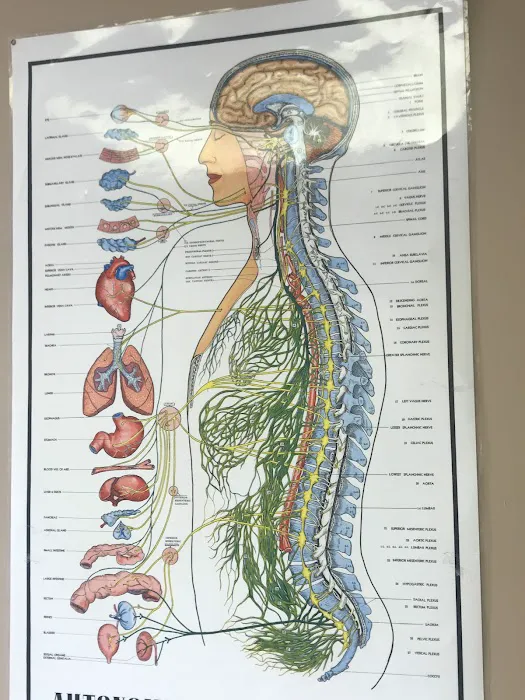 Hamilton Holistic Wellness Center Picture 1