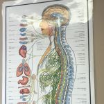 Hamilton Holistic Wellness Center