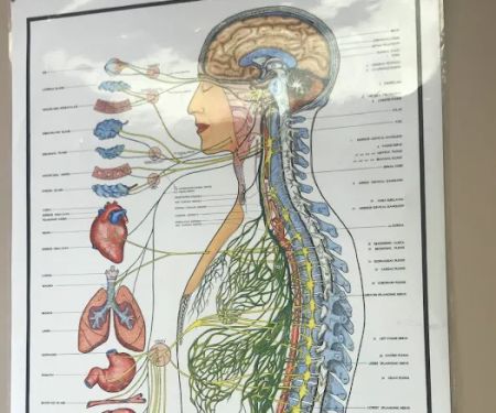 Hamilton Holistic Wellness Center
