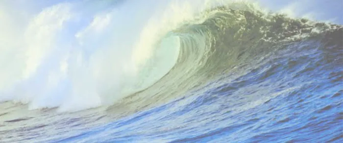 Ocean Chiropractic Picture 1