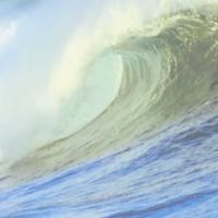 Ocean Chiropractic ico