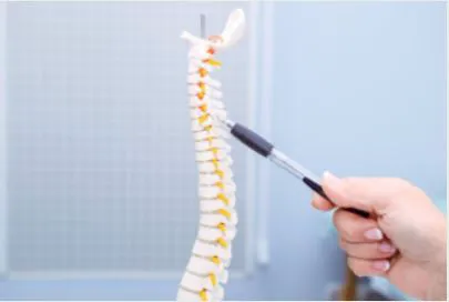 True Health Integrative Nutrition & Chiropractic- Dr. Guy Furno Picture 3