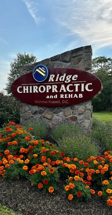 Ridge Chiropractic and Rehab Picture 1