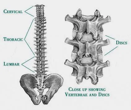 Monmouth Back and Neck Rehabilitation Picture 3
