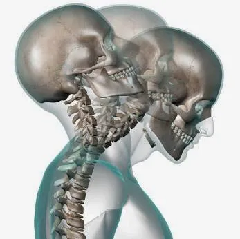 Monmouth Back and Neck Rehabilitation Picture 2