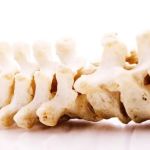 Russo Chiropractic Office