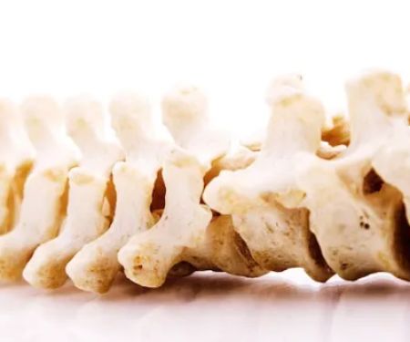 Russo Chiropractic Office
