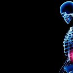 Holbrook Chiropractic PC
