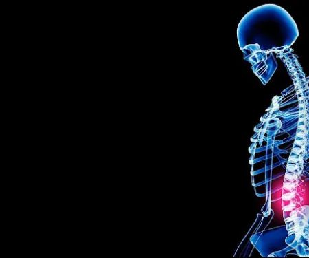 Holbrook Chiropractic PC
