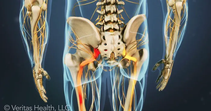Spinal Wellness Center Picture 7