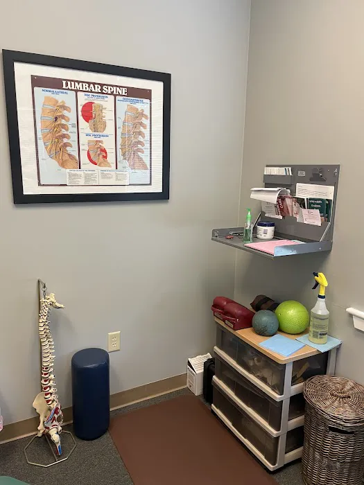 Carone Chiropractic Center Picture 7