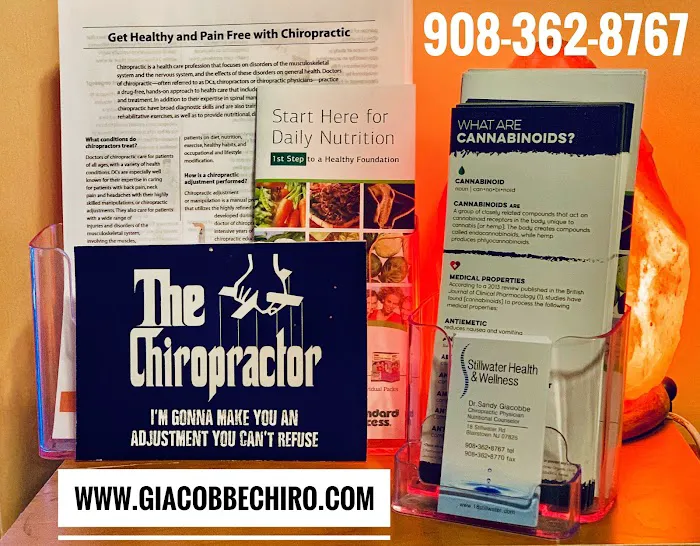 Sandy Giacobbe, Chiropractor/ Stillwater Health and Wellness LLC Picture 3