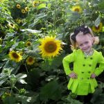 Doylestown Chiropractic