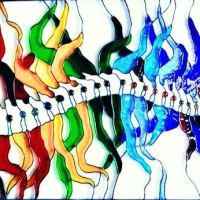 Lifeline Family Chiropractic Lansdale Chiropractor Dr. Jonathan Wassermann ico