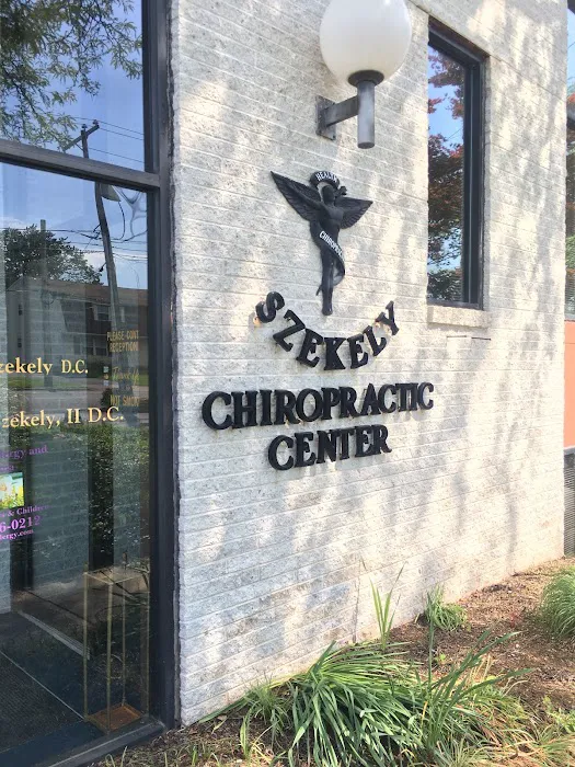 Szekely Chiropractic Center Picture 2