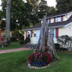 Chiropractic Healthcare of St. James