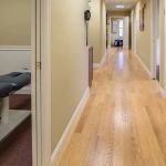 South Shore Chiropractic