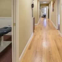 South Shore Chiropractic ico