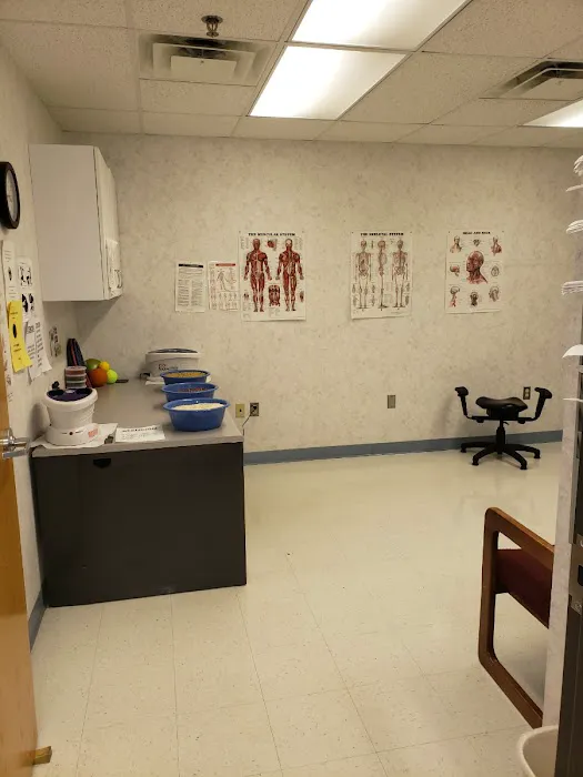 Spruce Chiropractic Health Center Picture 5