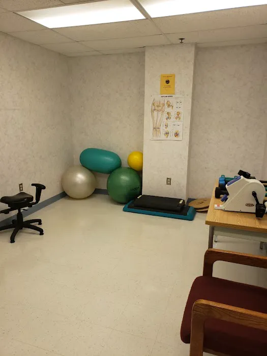 Spruce Chiropractic Health Center Picture 1