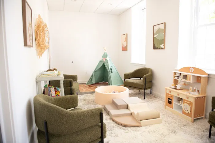 Willow Wellness and Chiropractic Care of Doylestown Picture 2
