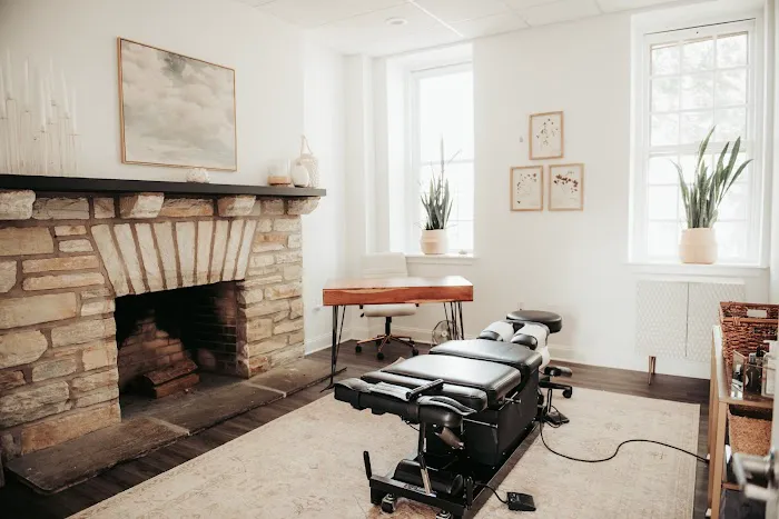 Willow Wellness and Chiropractic Care of Doylestown Picture 3