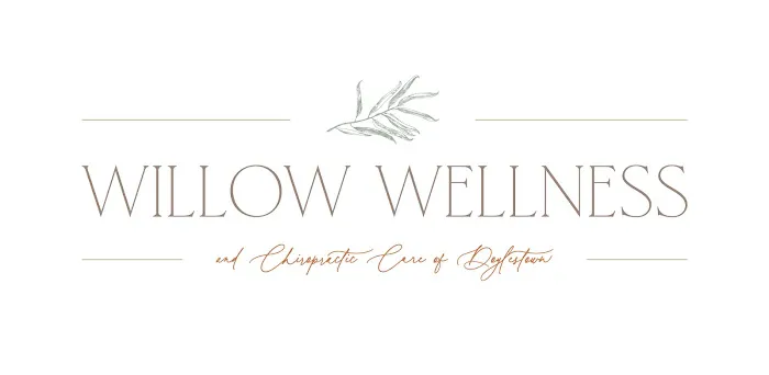 Willow Wellness and Chiropractic Care of Doylestown Picture 8
