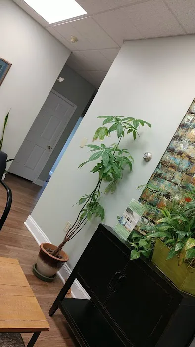 Kimmel Chiropractic Picture 4