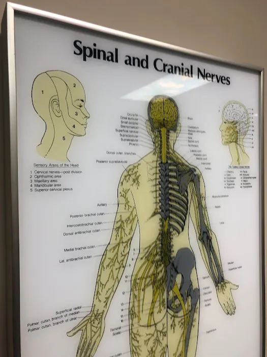 Montgomery County Chiropractic Center Picture 7