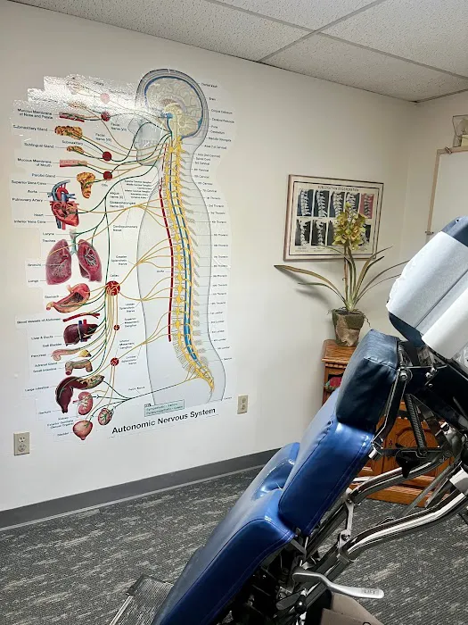 Allentown Chiropractic Center, P.C. Picture 6