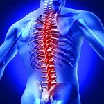FERNANDO CHIROPRACTIC AND WELLNESS CENTER, LLC
