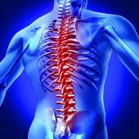 FERNANDO CHIROPRACTIC AND WELLNESS CENTER, LLC ico