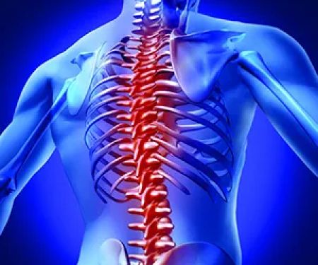 FERNANDO CHIROPRACTIC AND WELLNESS CENTER, LLC