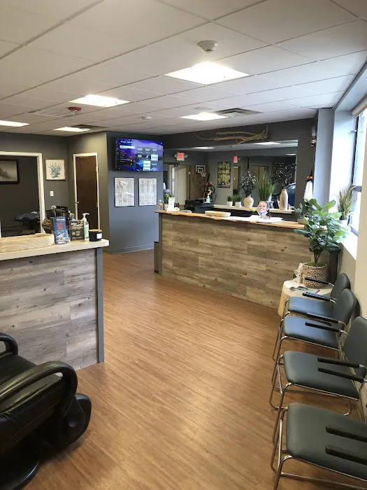 Desing Chiropractic Picture 1