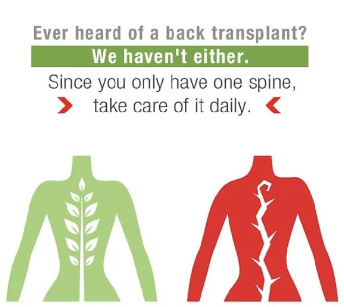 Setauket Chiropractic & Wellness Picture 4