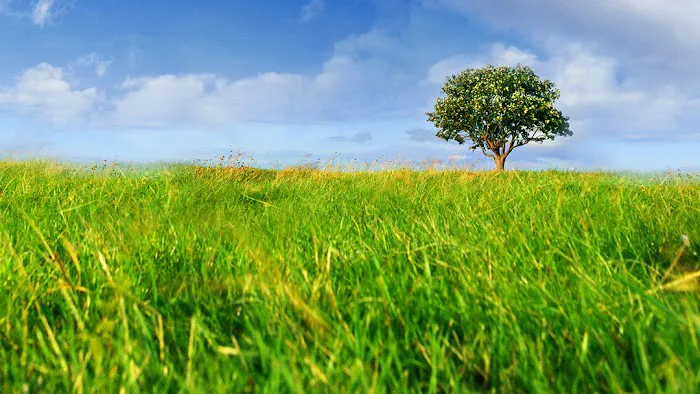 Gallagher Family Chiropractic Picture 2