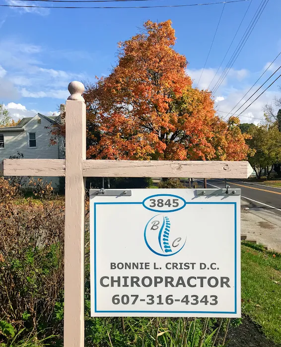 Bonnie L. Crist D.C. Picture 10