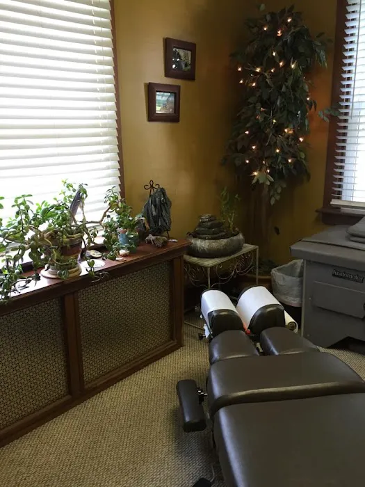 Collegeville Chiropractic Picture 8