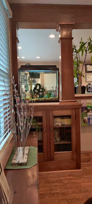 Collegeville Chiropractic Picture 5