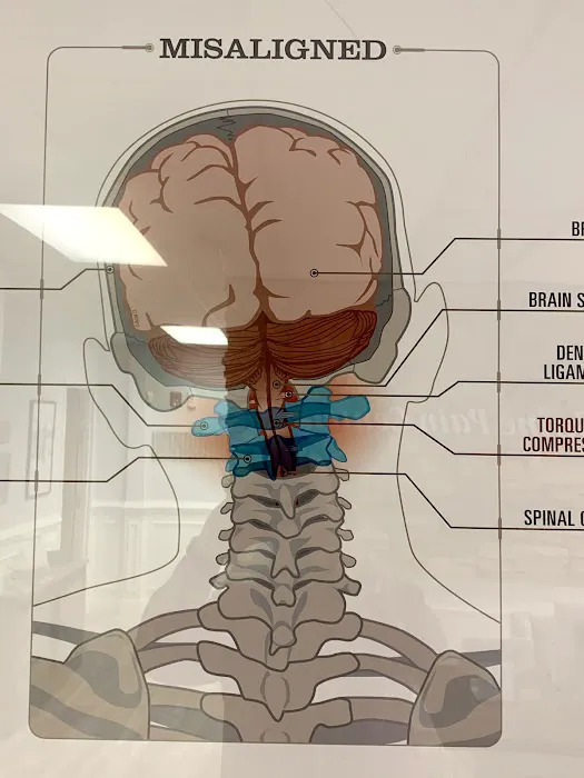 The Head & Spine Pain Center Picture 9