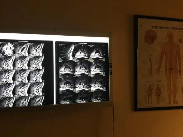 Waitkevich Chiropractic LLC Picture 1