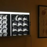 Waitkevich Chiropractic LLC ico