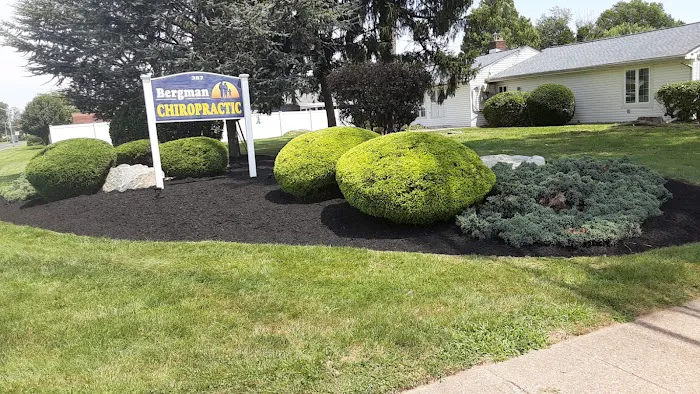 Bergman Chiropractic Picture 7