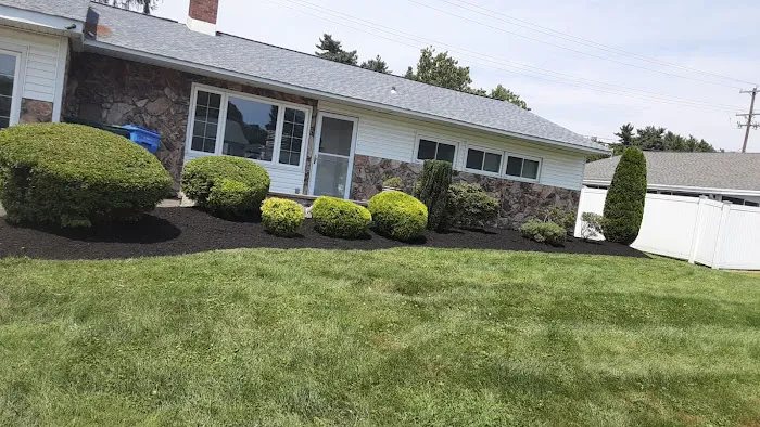 Bergman Chiropractic Picture 5