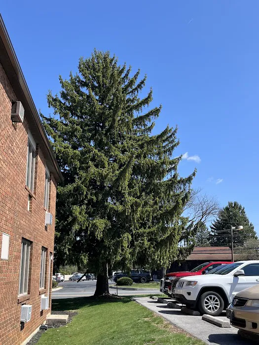 Cedar Crest Chiropractic Picture 7